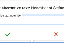 Example alt text override button
