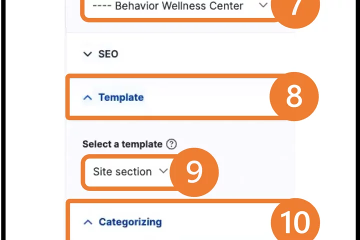 Example of Linking a Child Page and Additional Options settings (Steps 6 to 12)