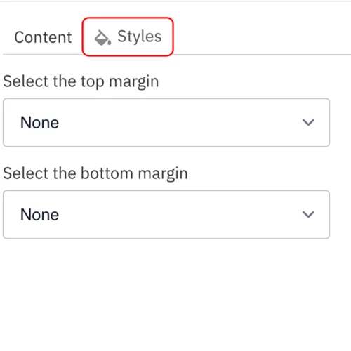 Example of the Styles option selected 